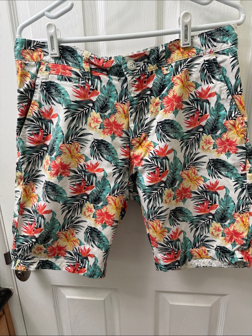 Men’s tropical pattern shorts